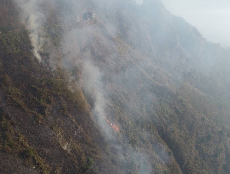 阿里山火場現況,圖片來自嘉義林管處官網