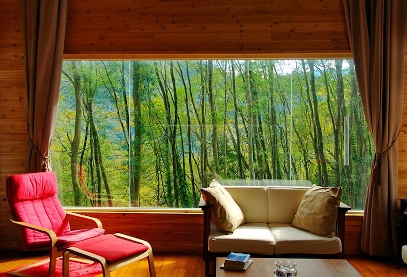 從客廳落地窗看出去,就是令人羨慕的綠意美景。