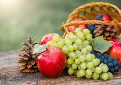 老來怕忘東忘西？美研究：吃對可可、蘋果等食物，補充黃烷醇或可改善