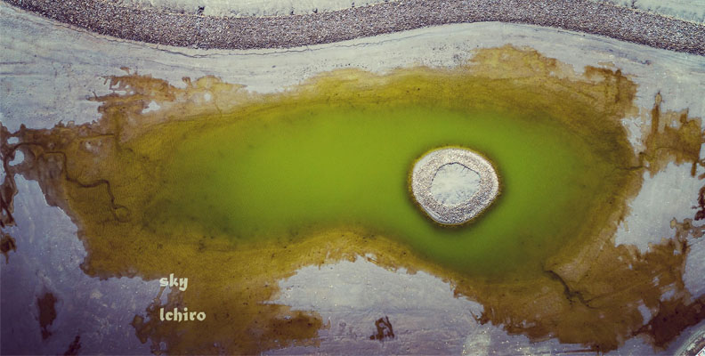 近期缺水，魚塭的中央彷彿破了一個洞。鈴木二郎提供。