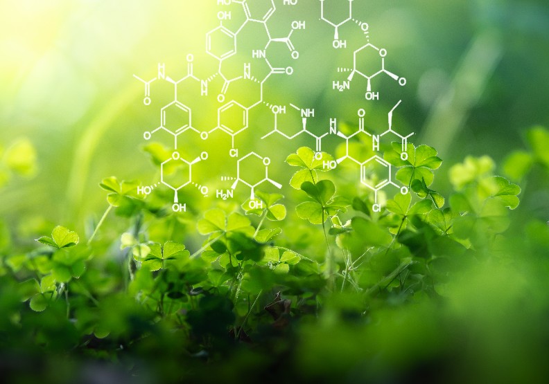 生物資訊學主要的研究方向有:基因辨識、基因重組、蛋白質結構預測、基因表現等。食品企業可透過生物資訊學,明確瞭解每一種成份對人體健康影響為何,開發出市場需求的相對應產品。僅為情境配圖,取自shutterstock。