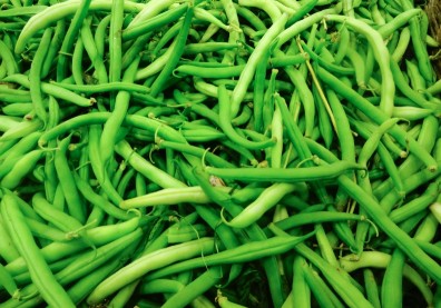 四季豆高纖又高C！一年四季都盛產，是居家最佳常備菜