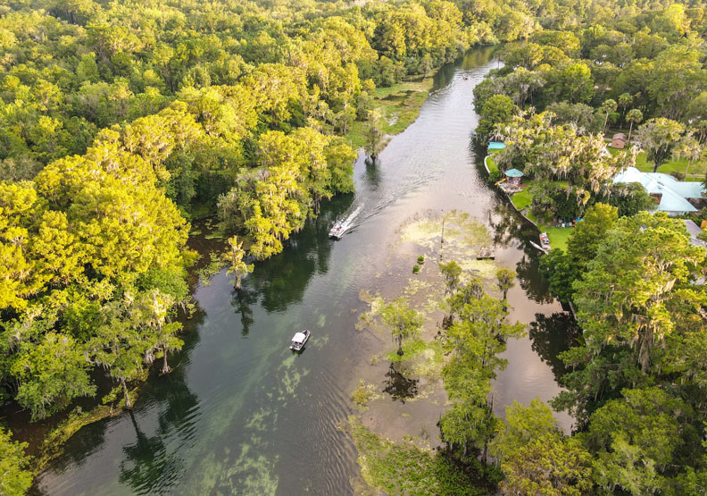 熱帶雨林正在逐漸消失,取自Unsplash by Luiz Cent。