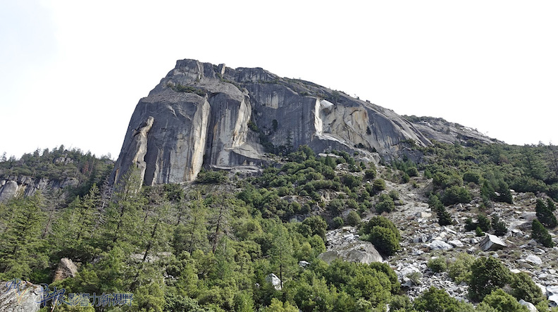 取自草根影響力新視野