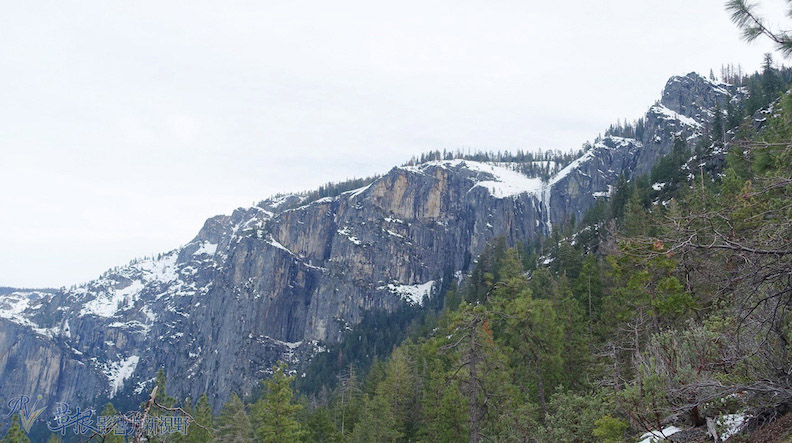 取自草根影響力新視野