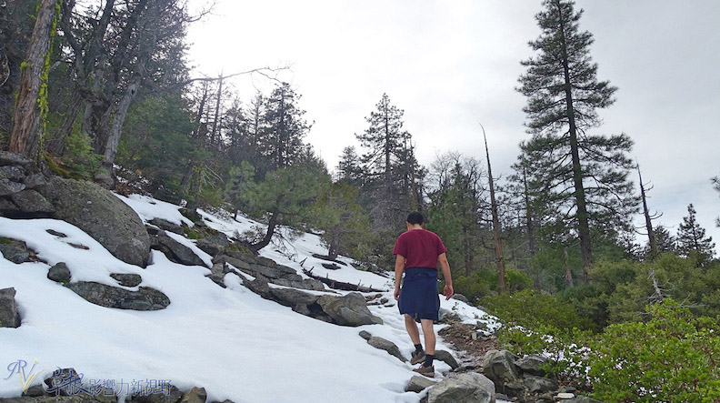取自草根影響力新視野