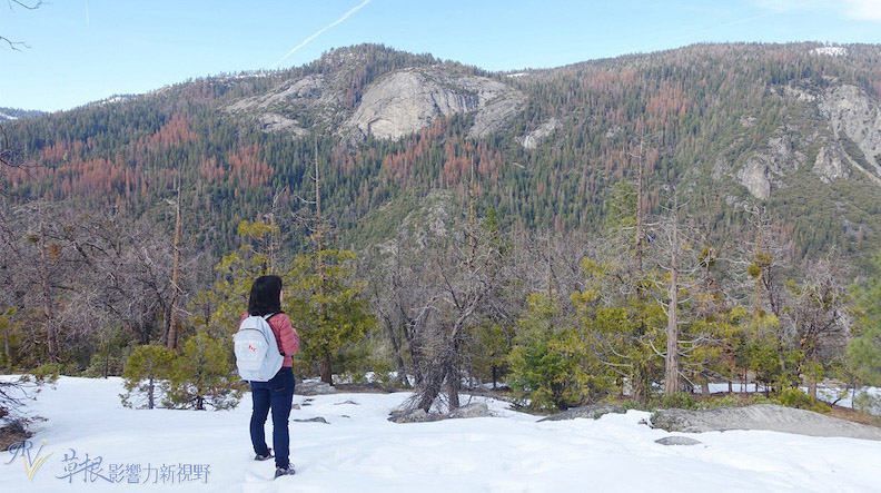 取自草根影響力新視野