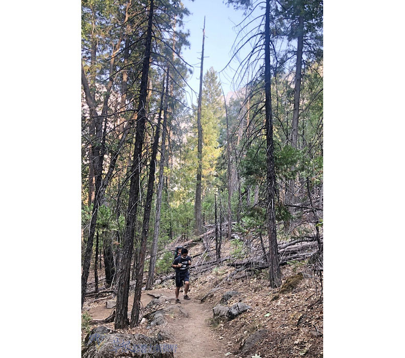 取自草根影響力新視野