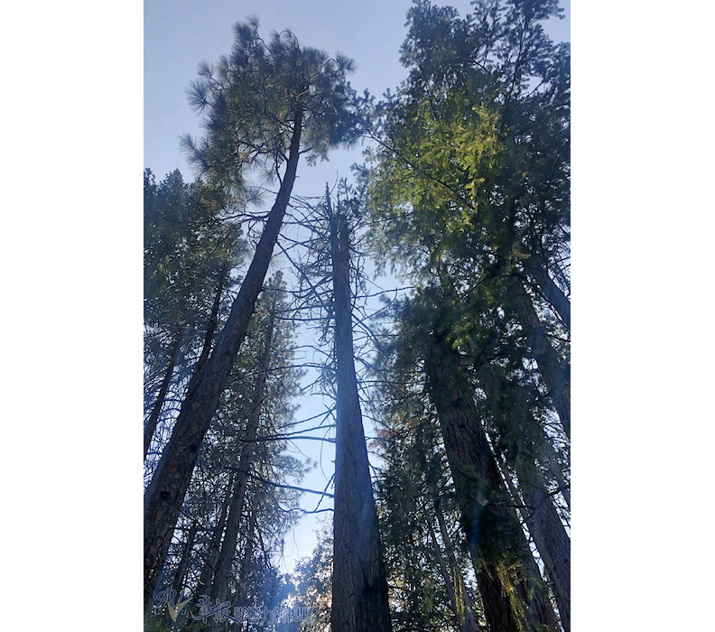 取自草根影響力新視野