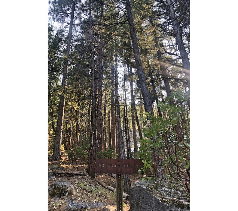 取自草根影響力新視野