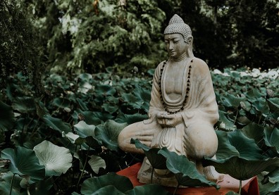 琦君：母親為我求的佛前淨水，讓我不抑鬱於懷人世的榮枯得失