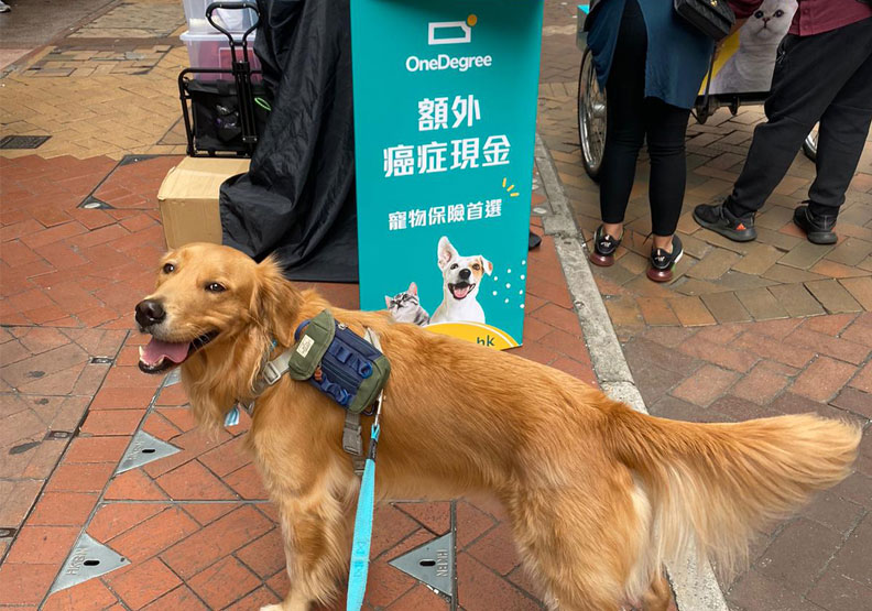 One Degree以寵物險攻占香港。