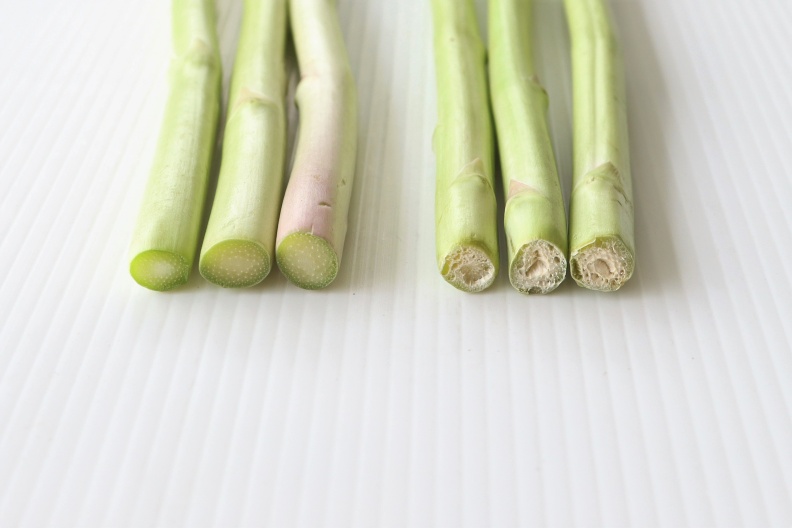 新鮮蘆筍基部切口飽滿有水分(左),儲放多日之蘆筍基部乾癟而有縫隙(右)。行政院農業委員會提供