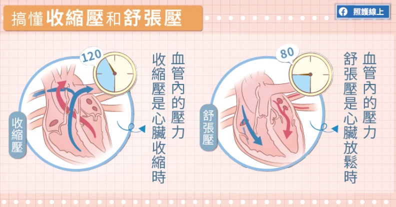 搞懂收縮壓和舒張壓。取自照護線上