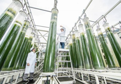 全球一起替地球降溫!疫後台灣,不能缺席「淨零之戰」