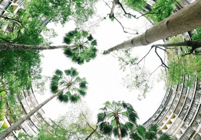 眷戀．光陰的故事〉凋零眷村蛻變民宿， 重現大時代記憶