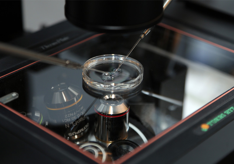 人工受孕。張智傑攝