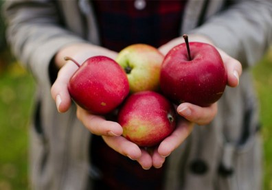 蘋果、番茄都上榜！美國EWG公布「12大蔬果農藥」排行榜