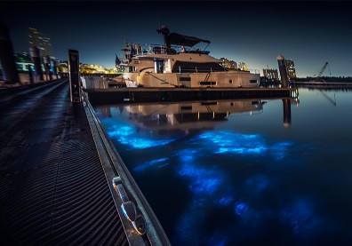 體驗經濟ｘ城市行銷，亞果遊艇引領產業創新