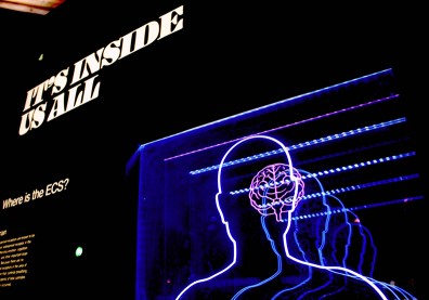 用「想像力」也能鍛鍊肌肉！腦科學研究證明：心態改變，身體功能也會出現變化