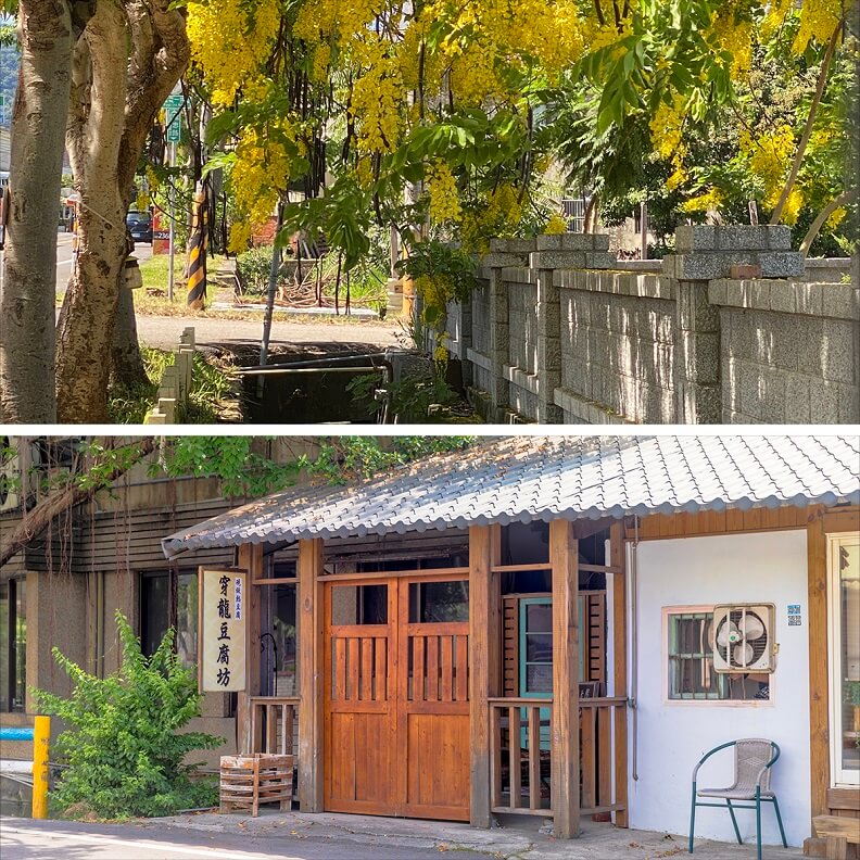 黃金小鎮阿勃勒盛開美景(苗栗縣政府提供)及選用在地黃豆製作豆腐的穿龍豆腐坊。