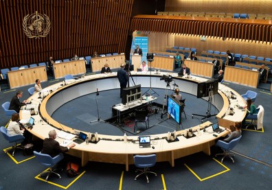 WHA美歐籲調查COVID-19病毒起源！中轉移焦點指日擬排核廢水