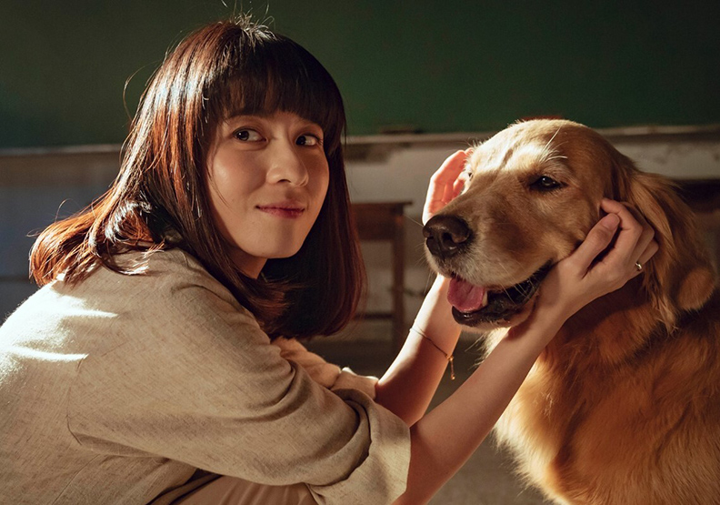 取自網路溫度計