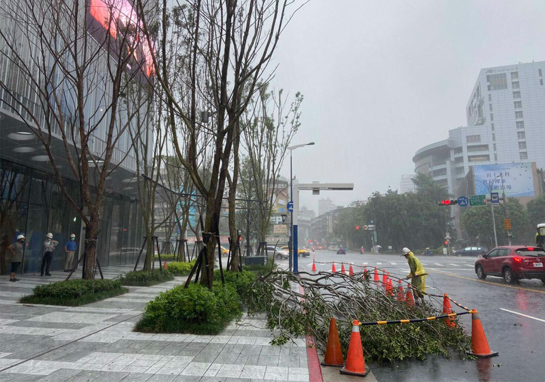新生南路、八德路口有路樹倒塌。聯合新聞網提供