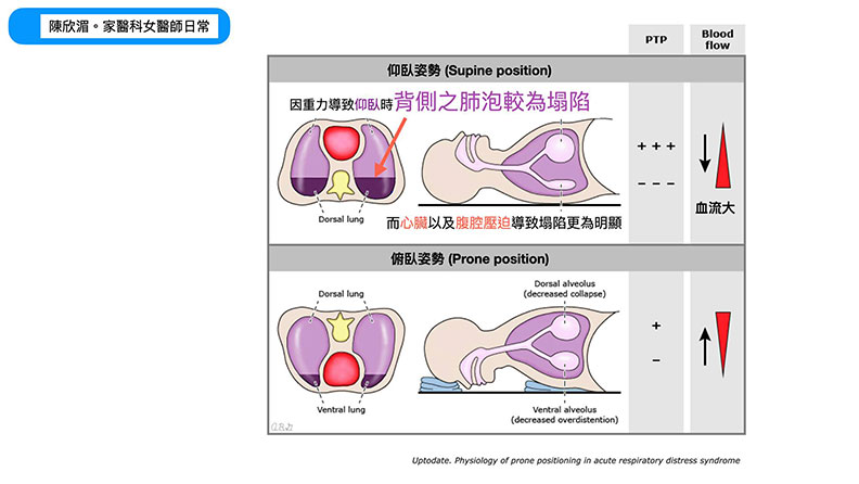 陳欣湄。家醫科女醫師日常提供