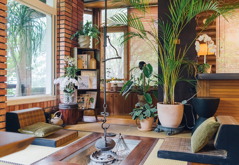 室內植物既可以為居家點綴營造氣氛，也像是一種陪伴。取自50＋FIFTY PLUS
