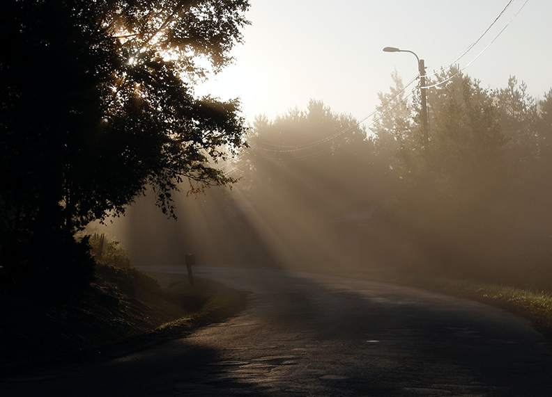 僅為情境圖。取自pexels