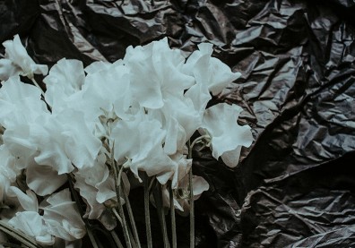 窮人容易「孤獨死」？遺物整理師：別因為窮困艱苦而讓自己太沉重