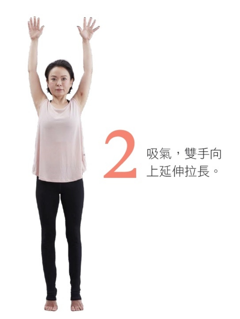 2. 吸氣,雙手向上延伸拉長。 幸福文化提供