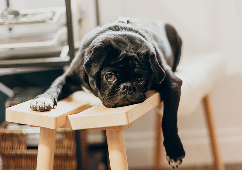 僅為情境圖。取自unsplash