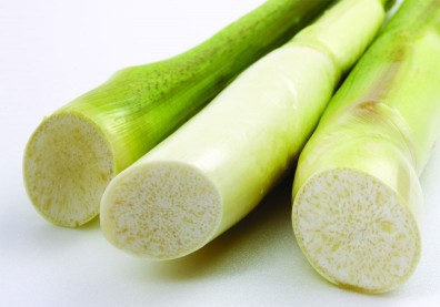 高纖、低卡又有飽足感！茭白筍是減肥族好伙伴，這樣挑最新鮮