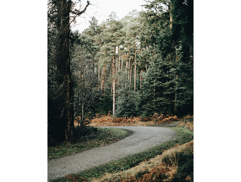 現在也許是時候向前走了。僅為情境圖,取自pexels