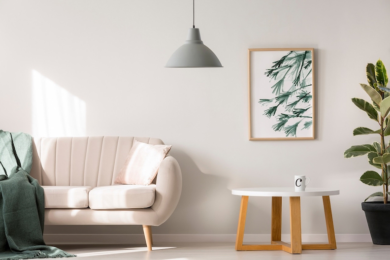 白色牆面（主色）和米色沙發（次色）選擇相近的顏色，點綴色統一選擇綠色，包括牆上的畫、植栽、小毯子。（圖片來源／Shutterstock）