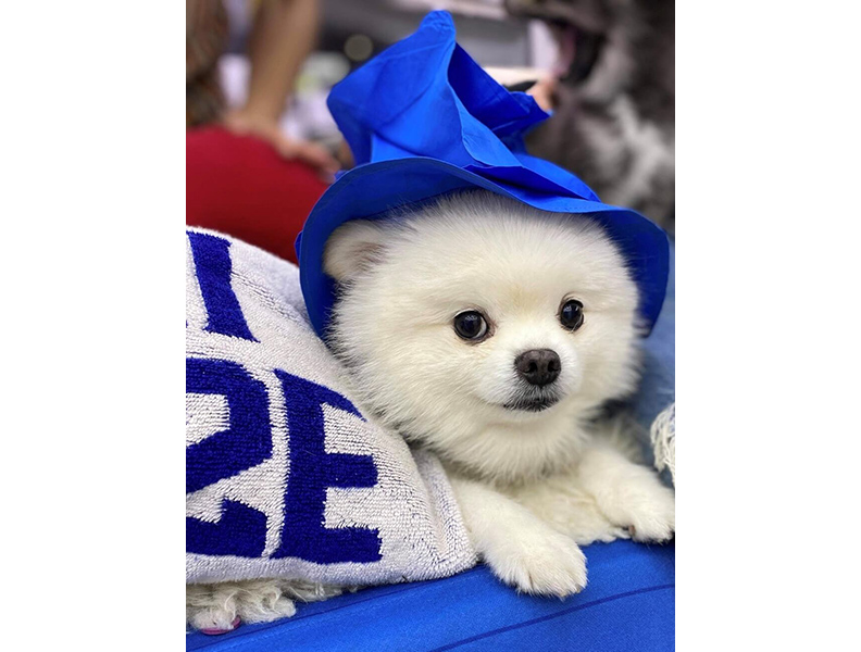 周裕穎愛犬白寶。（圖／Just in XX）