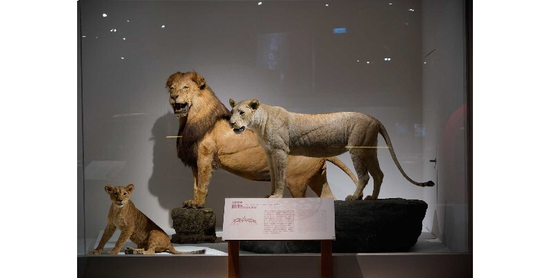 取自網路溫度計。