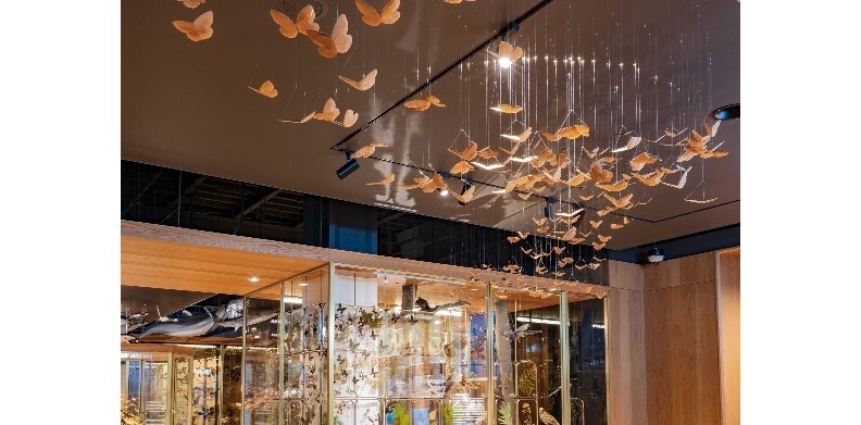 取自網路溫度計。