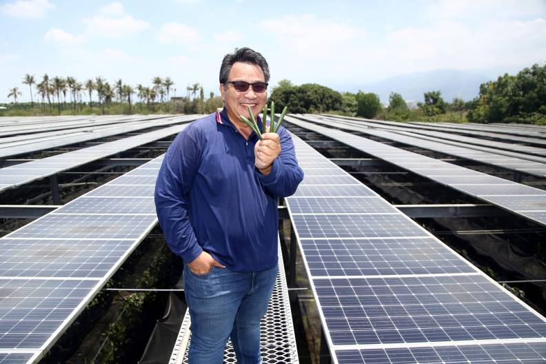 攀上香草田裡的太陽能屋頂,林桐榮手握的香草莢,是他辛苦覓得的台灣「農電共生」出路。陳之俊攝