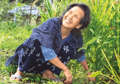 80歲沒老花眼、不駝背，每天只靠一菜一湯吃出健康！食養專家若杉友子50年不生病的飲食養生法
