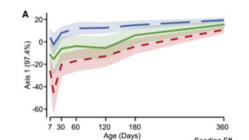 三組嬰兒在一年內,腸道細菌種類多樣性的變化比較線形圖,藍線為自然產(N=98),綠線為剖腹產加上陰道液紮拭(N=30),紅線為單純剖腹產(N=49)。作者提供