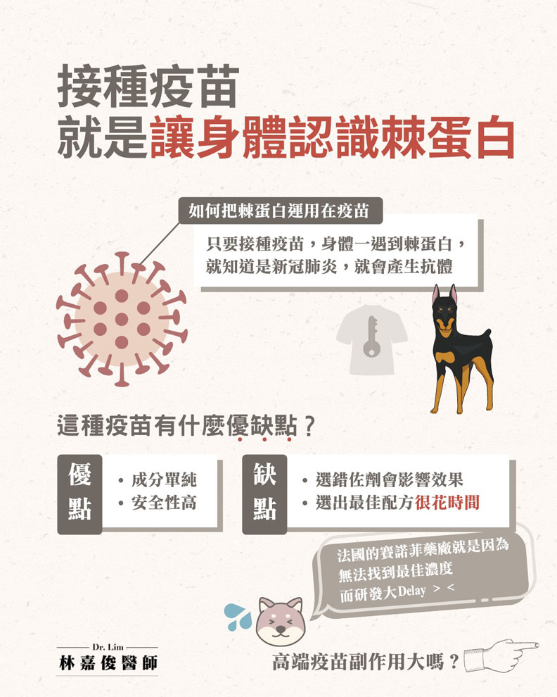 接種疫苗就是讓身體認識棘蛋白。林嘉俊醫師提供