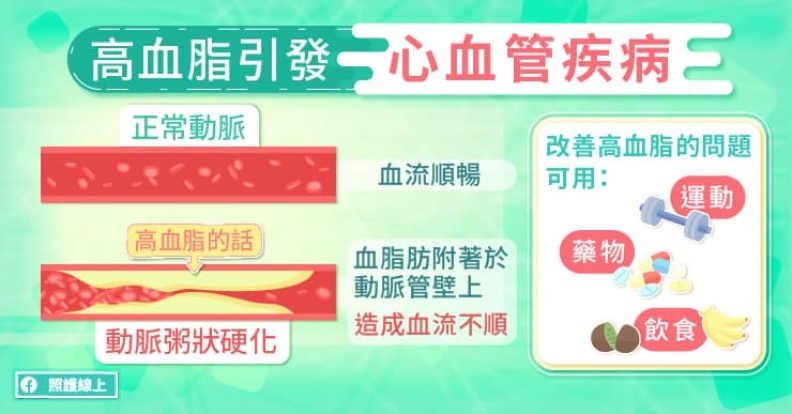 高血脂引發心血管疾病。照護線上提供
