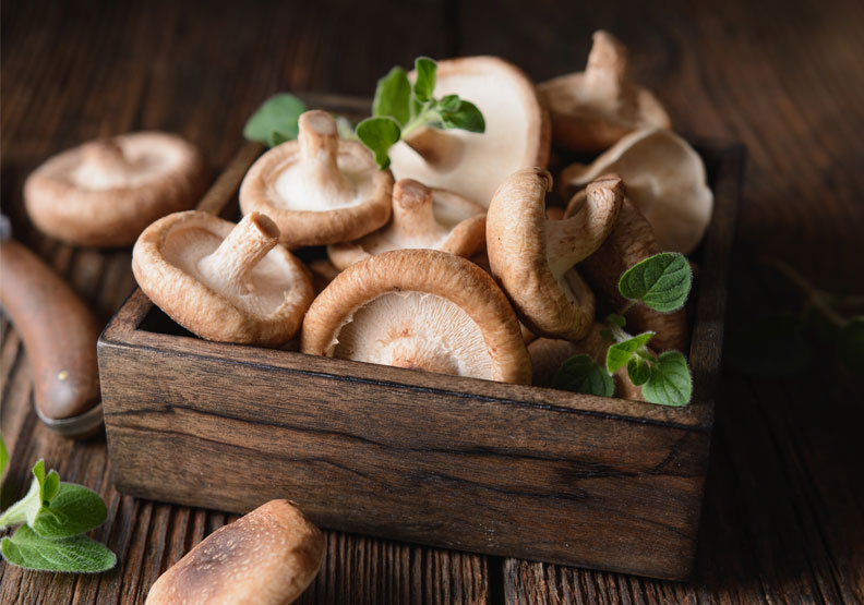 高纖、高蛋白！香菇多醣體有助免疫力，新鮮乾燥風味大不同