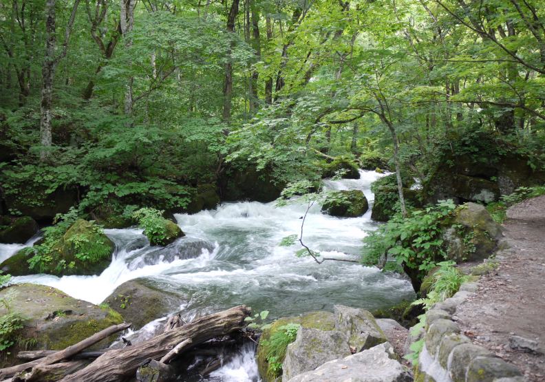 位於日本青森縣的奧入瀨溪流。圖片來自維基百科