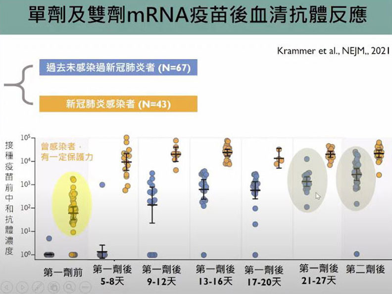 單劑及雙劑mRNA疫苗後血清抗體反應。擷取自新冠肺炎防疫科學線上直播:變種病毒防疫及監測新思維