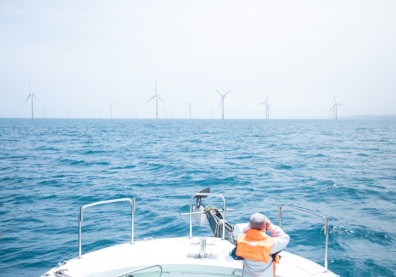 氣候變遷下的新職缺，觀察鯨豚、鳥類，這群人靠熱情賺錢