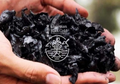 台南官田菱殻炭化身烏金循環經濟新產業